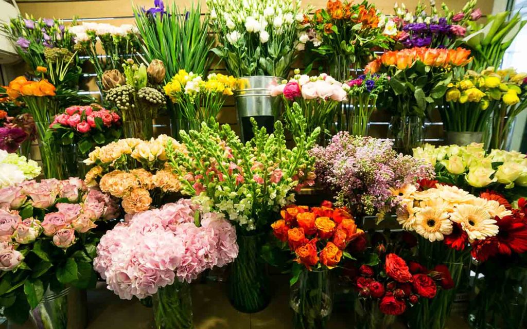 flower shop with different type of flowers