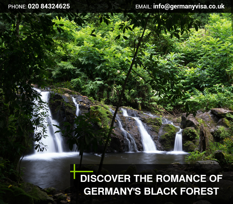 Black_forest_in_germany