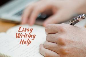 essay help