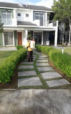 5 Eco-Safe Landscaping Ideas
